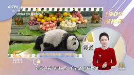 床戏高潮进去大尺度沙发